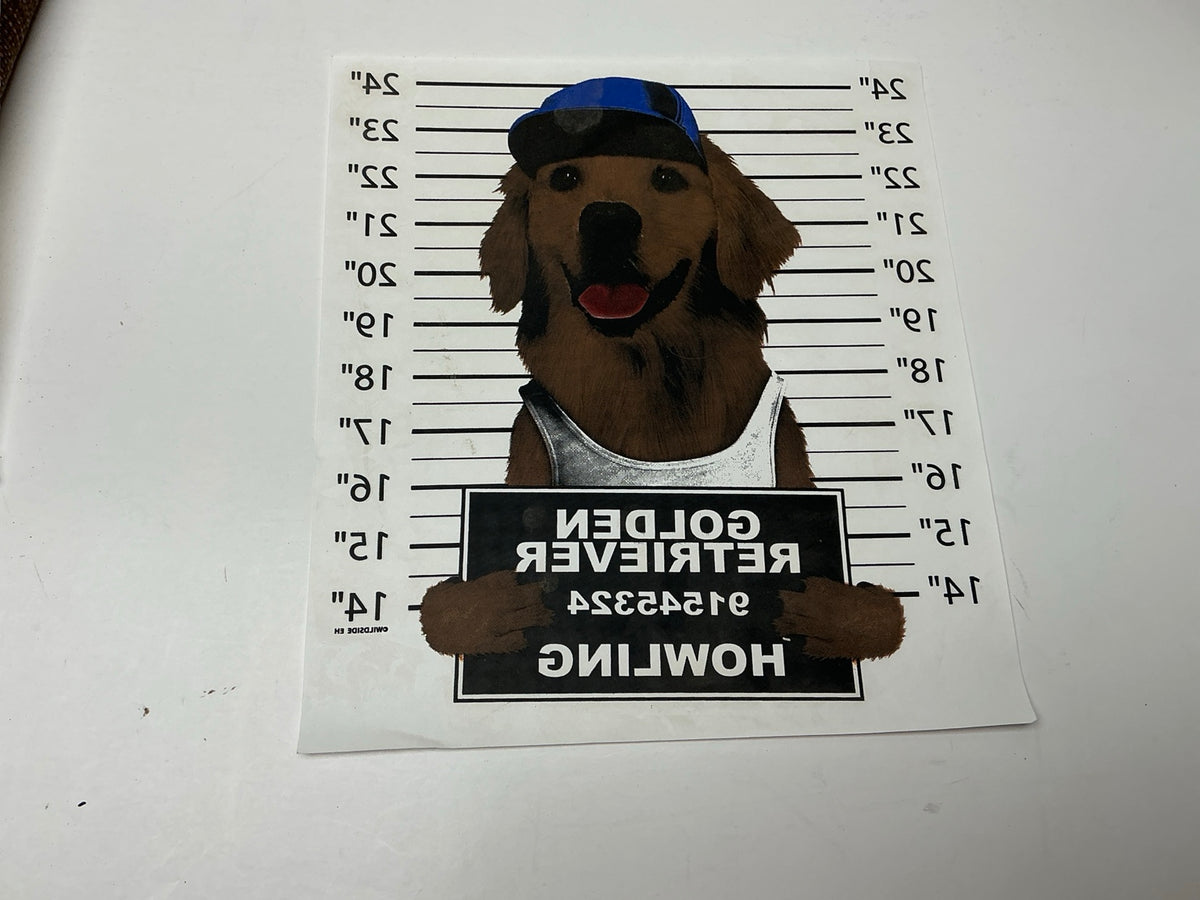 Funny golden retriever mugshot statement embellishment